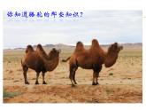 四年級(jí)美術(shù)上冊(cè)課件-2.生活中的暖色1-人美版