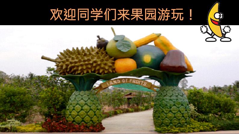 桂美版一年级美术下册 4 诱人的水果 课件+教案 (2)03