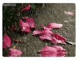 桂美版 三年级下册美术 第十课 风雨中｜课件（18张PPT）