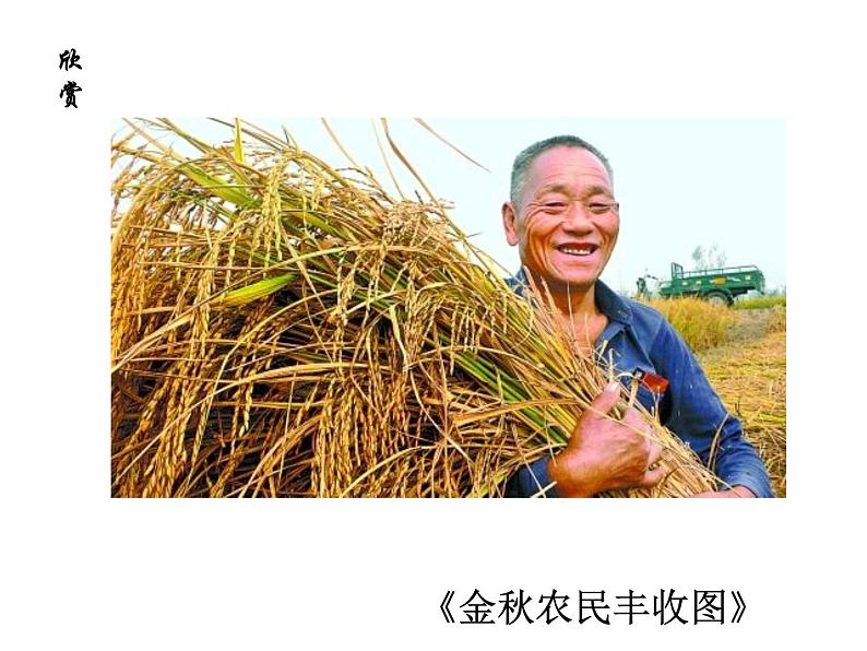 桂美版四年级下 4、农家乐 课件（20张PPT）第2页