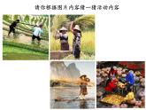 桂美版四年级下 4、农家乐 课件（20张PPT）