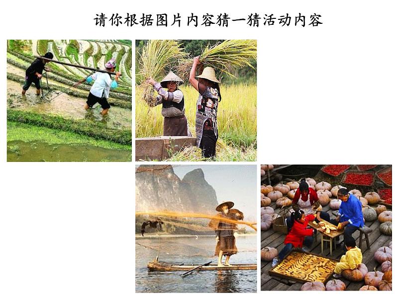 桂美版四年级下 4、农家乐 课件（20张PPT）第4页