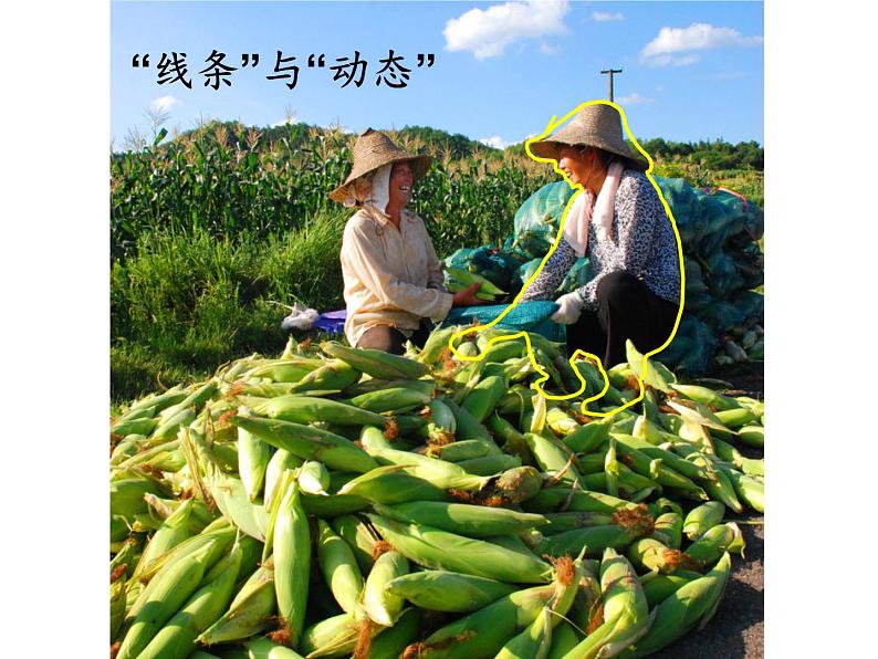 桂美版四年级下 4、农家乐 课件（20张PPT）第5页