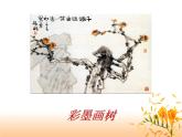 桂美版四年级下册 5.彩墨画树 课件