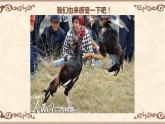 桂美版四年级下 8斗鸡 课件