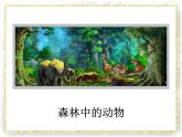 桂美版四年级下册 美术 课件 16.密林中（13张幻灯片 ）