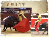 桂美版二年级美术下册 5 斗牛赛马真热闹课件