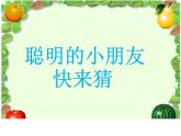 美術(shù)一年級上冊課件-5.五彩的煙花4-人教版（22張PPT）