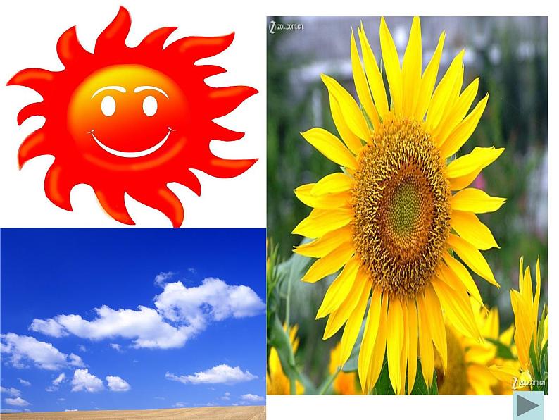 三年级上册美术课件-第7课  三原色与三间色丨浙美版（2012）（16张PPT）05