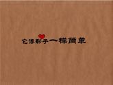 五年级上册美术课件-第13课 拼贴画 ▏人美版（北京） （9张PPT）