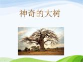 赣美版小学美术三年级上册第6课 神奇的大树课件+教案+素材