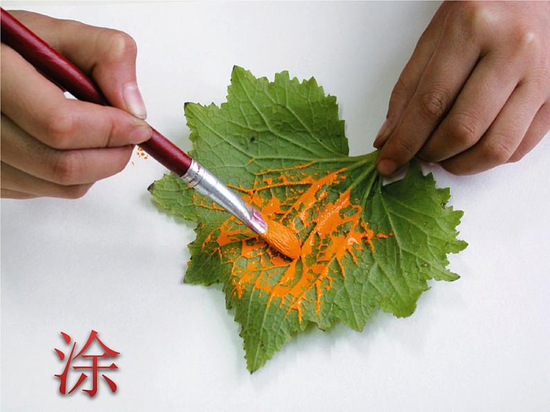 小学美术赣美版二年级上册第2课 印印玩玩课件+教案+素材03