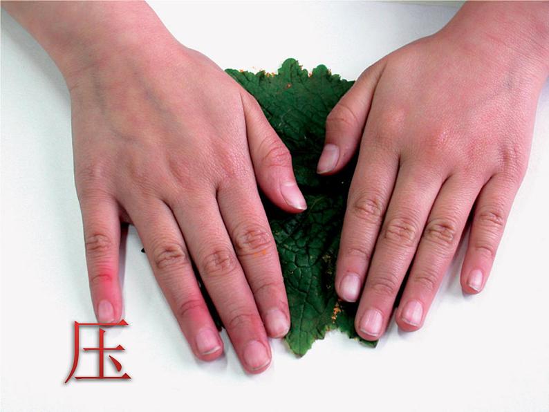 小学美术赣美版二年级上册第2课 印印玩玩课件+教案+素材04