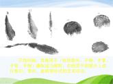 小学美术赣美版二年级上册第3课 我的手印画课件+教案+素材
