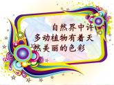 湘美版四年級下冊第12課色彩取樣課件PPT