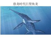 四年級(jí)美術(shù)上冊(cè)課件-7.海洋怪獸4-蘇少版