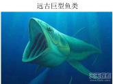 四年級(jí)美術(shù)上冊(cè)課件-7.海洋怪獸4-蘇少版