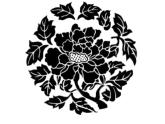 四年級美術(shù)上冊課件-18.適合紋樣12-蘇少版