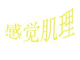 四年级上册美术课件-第5课  感觉肌理 ｜辽海版