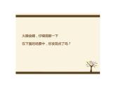 湘教版美術(shù)二年級上 11點點聚會 課件