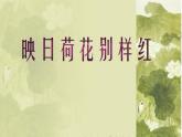 浙美版美术五年级下册 18 映日荷花别样红 课件+教案