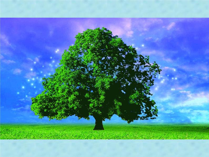 第10课 神奇的果树 五分钟数字故事第3页