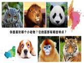 10《動物的臉》【課件】