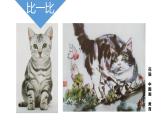 10《動物的臉》【課件】