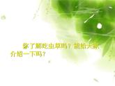 人美版美術(shù)二年級下冊 第2課 吃蟲草(2)（課件）