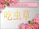 人美版美術(shù)二年級(jí)下冊(cè) 第2課 吃蟲(chóng)草(1)（課件）