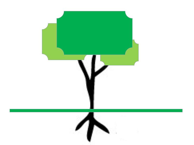 人美版美术二年级下册 第3课 《认识身边的树》（课件）第1页