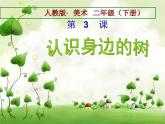 人美版美術(shù)二年級下冊 第3課 認識身邊的樹（課件）