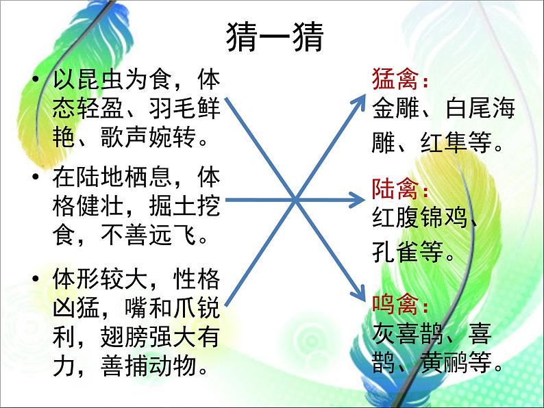 人美版美术二年级下册 第19课 我喜欢的鸟（课件）第3页