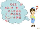 人美版美術(shù)二年級(jí)下冊(cè) 第2課 吃蟲(chóng)草（課件）