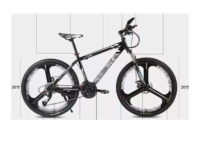 三年级下册美术课件-第11课：一路轻骑（32）-湘美版第6页