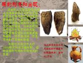 五年級(jí)美術(shù)上冊(cè)課件-9. 快樂(lè)陶吧5-湘美版