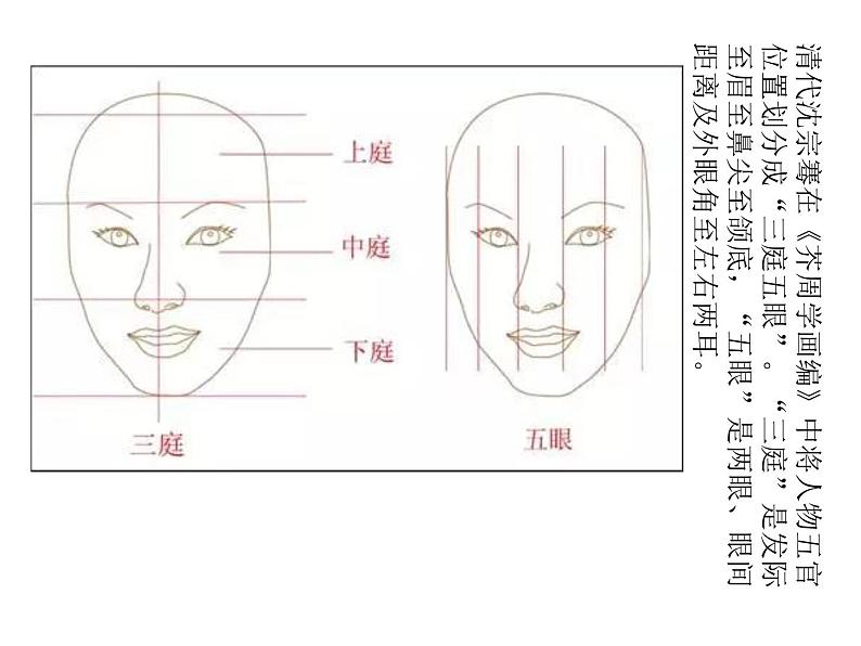 五年级美术下册课件-16有特点的人脸40-人美版（14张PPT）第6页