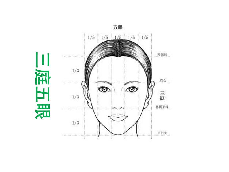 五年级美术下册课件-16有特点的人脸46-人美版（17张PPT）第4页