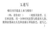 五年級(jí)美術(shù)下冊(cè)課件-16有特點(diǎn)的人臉148-人美版（35張PPT）
