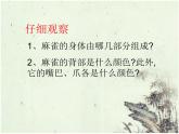 五年級美術(shù)下冊課件-14花鳥畫（二）72-人美版（12張PPT）