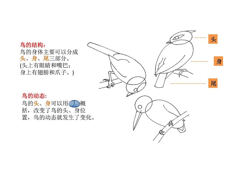 五年级美术下册课件-14花鸟画（二）20-人美版（11张PPT）第3页