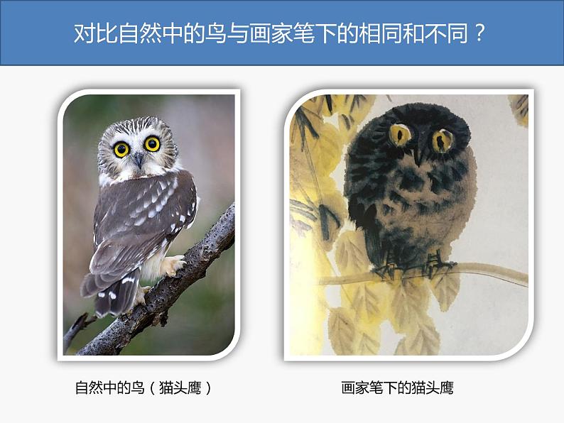 五年级美术下册课件-14花鸟画（二）106-人美版第2页