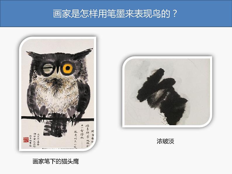 五年级美术下册课件-14花鸟画（二）106-人美版第4页