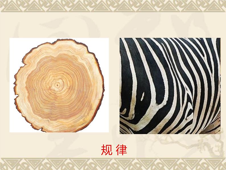 四年级下册美术课件-第15课  创造美的纹理丨浙美版（2012）第4页