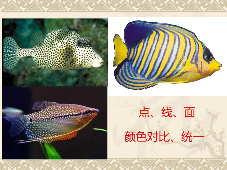 四年级下册美术课件-第15课  创造美的纹理丨浙美版（2012）第5页