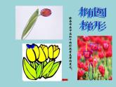 人美版二年級美術(shù)上冊 14.茂密的花  課件 教案 素材