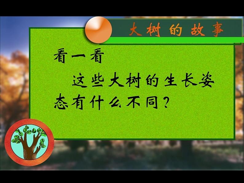 《大树的故事》课件1第3页