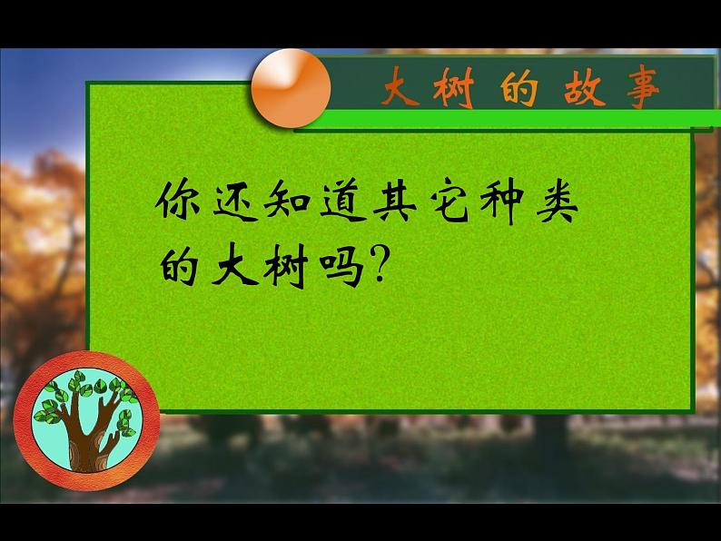 《大树的故事》课件1第7页