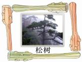 人美版二年級美術(shù)上冊 15.大樹的故事  課件 教案 素材