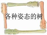 人美版二年級美術(shù)上冊 15.大樹的故事  課件 教案 素材